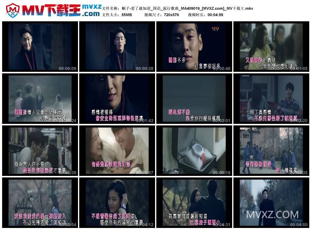 顺子-爱了就知道_国语_流行歌曲_MA409019